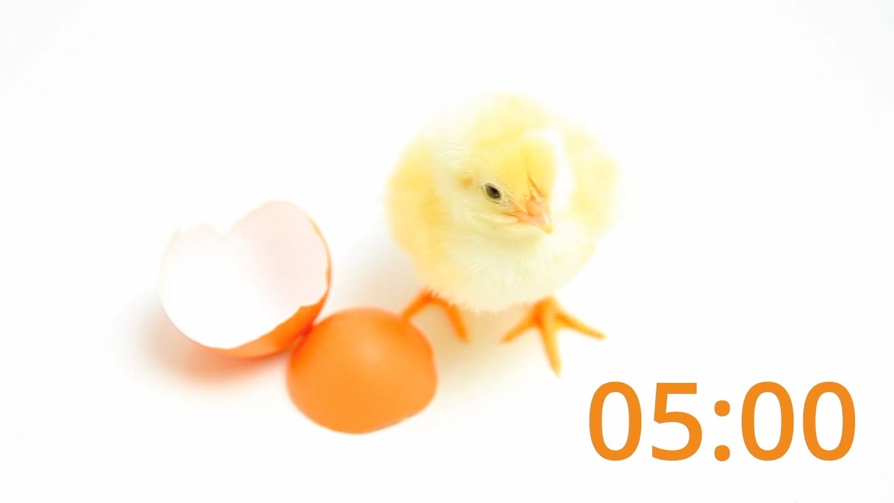 5 Minute Timer For Easter Fun Youtube