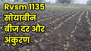 Rvsm 1135 सोयाबीन बीज दर और अंकुरण | Rvsm 1135