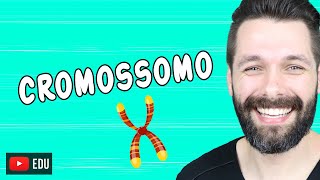 CROMOSSOMOS - DNA - GENE - Qual a relação? | Biologia com Samuel Cunha