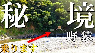 【家族バンライフ】こんなの見たことない！ 川を渡る方法がおもしろすぎる