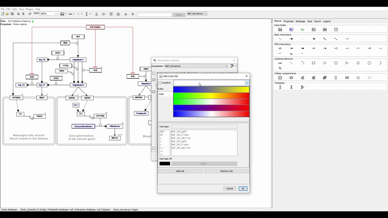 Visualize Gene Expression Data In Pathvisio Youtube