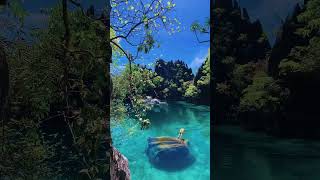 Twin Lagoon in Coron, Palawan, Philippines #shorts #trending