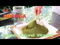 LE MORINGA PREPARER LA POUDRE - ILE DE LA RÉUNION