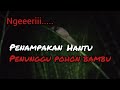 PENAMPAKAN HANTU PENUNGGU POHON BAMBU