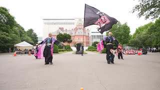 [4K] 北の湘南だて　YOSAKOIソーラン祭り 2024 日曜日 道庁赤れんが会場