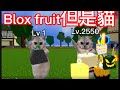 Blox fruit但是是一隻貓(第一集)