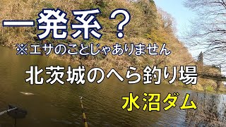 【一発勝負！】北茨城のへらぶな釣り場「水沼ダム」