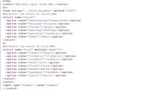 Lesson7 Pull Down and Scrolled List | Java Servlet JSP Tutorial