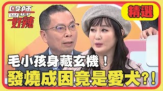 毛小孩身藏玄機！發燒程因竟是愛犬？！【醫師好辣】精選 EP1081｜鄭丞傑 陳木榮