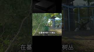 SCUM荒野求生-07 探索神秘基地！ #C維游戲解說 #搞笑 #游戲 #official server #官方服務器