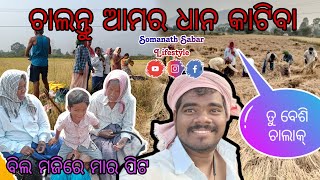 ଚାଲନ୍ତୁ ଆମର ଧାନ କାଟିବା // SOMANATH SABAR LIFESTYLE // Driver Life // #gunupur