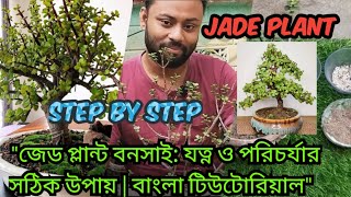 Jade Plant. জেড প্লান্টের যত্ন: মাটি, জল, সার ও কীটনাশকের ব্যবহার। প্রুনিং ও প্রোপাগেশন। indoorplant