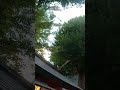 歴史秘話　青梅街道　鍋屋横丁　近道の神様　五柱五成神社・天五色辨財天　ナレーション有　historical secrets nabeya yokocho god of shortcuts