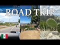 Mexico Road Trip to the Beach | San Jose del Pacifico