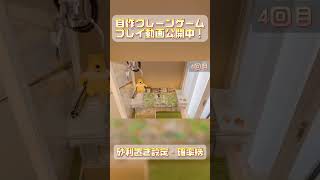 【自作クレーンゲーム】自作　確率機のプレイ動画を公開中！ #アームキーホルダー #クレーンゲーム #バンビーノ #メダルゲーム #自作クレーンゲーム #確率機 #ufoキャッチャー