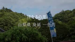 ほたるの里　山梨県身延　一 色　2016年5月