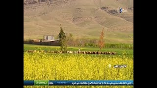 Iran Ardak village, Mashhad county, People \u0026 Agriculture activities مردم و كشاورزي روستاي ارداك مشهد