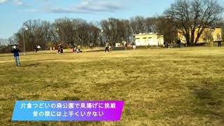 片倉つどいの森公園で凧揚げに挑戦