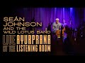 I Will Rise Again by Sean Johnson & the Wild Lotus Band