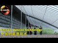 China's Juncao technology中国的菌草技术