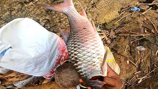 മലവെള്ളത്തിൽ ഒറ്റ വീശിനു ഒരു ലക്ഷം മീൻ ..! cast net fishing | Traditional village fishing