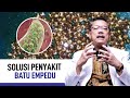 Batu Empedu: Gejala, Penyebab, dan Cara Mengatasi | Kata Dokter