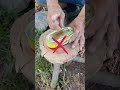 Easy way to open a sardines can  #survival #survivalskils