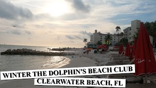 Winter the Dolphin Beach Club Hotel: A Delightful Stay on Clearwater Beach