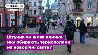 Штучна чи жива ялинка. Яку обирають тернополяни на новорічні свята?