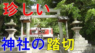 珍しい、神社のど真ん中を横切る近鉄電車の踏切（藤井寺第七号踏切、澤田八幡神社内）