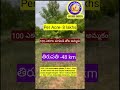 Cheap Agricultural land sale Tirupati 100 Acres mango garden