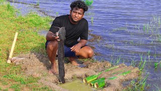 🎣Unbelievable Bamboo Fishing Trap🐠 | 🐟மூங்கில் வச்சி மீன் பிடிக்கலாம் வாங்க |Trap Making with Bamboo