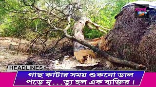 গাছ কাটার সময় মাথায় শুকনো ডাল পড়ে মৃ ........ ত্যু হল এক ব্যক্তির।