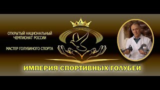 ИМПЕРИЯ СПОРТИВНЫХ ГОЛУБЕЙ