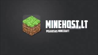 MineHost.LT - Pigiausias Minecraft Hostingas