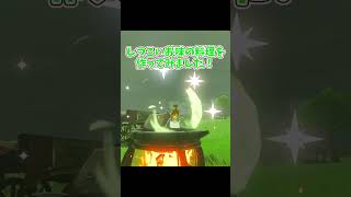 【ティアキン】厄菜リンクのお料理教室を覗いてみた！【ゼルダの伝説】