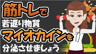 筋トレで若返り物質マイオカインを分泌させましょう