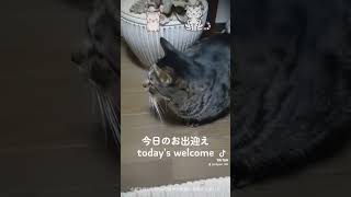 今日のお出迎え（ today's welcome ）