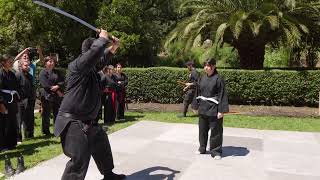 Demostración Bujinkan Hanami 2023