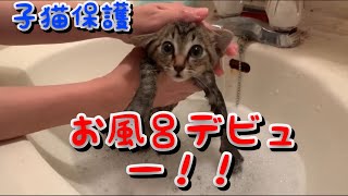 #3 【子猫保護】保護して１週間たったのではじめてのお風呂に入った子猫【野良猫】