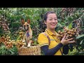 Harvesting Longan goes Market sell | Lý Thị Ba