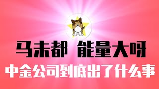 马未都更多隐秘曝光，不意外！中金公司到底出了什么事？中国金融行业大降薪背后的政治｜马未都｜中金公司｜金融大降薪｜习近平