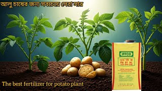 আলু চাষের জন্য সবচেয়ে সেরা সার।#thebestfertilizer for potatoplant.@agriteach alok.#fertilizerpotato