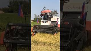 New Machine Kubota DC-70 Pro Rice Harvester  🌾 #machine #shorts