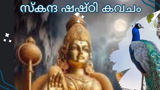 സ്‌കന്ദ ഷഷ്ഠി കവചം....സ്തുതിക്കുന്നവർക്ക് വലിയ വിനകൾ ഒഴിഞ്ഞു പോകും..... കവചമായി ഭഗവാൻ നിലകൊള്ളുന്നു