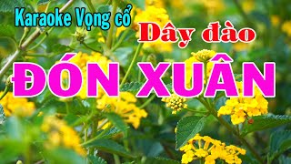 Karaoke vọng cổ ĐÓN XUÂN - DÂY ĐÀO