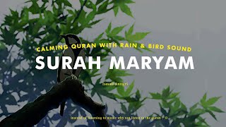 [LOFI QURAN] VERY CALMING QURAN WITH RAIN AND BIRD SOUND - SURAH MARYAM
