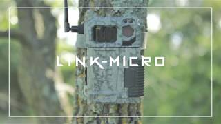 LINK-MICRO | SPYPOINT