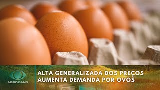 Alta generalizada dos preços aumentou demanda por ovos | Agroband