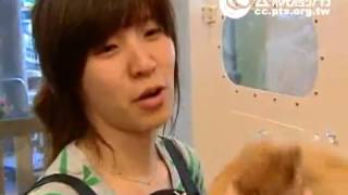 寵物美容加盟-MIT PETSHOP+：GOGOSHOWER狗狗笑了寵物美容 寵物洗澡機 2017-03-09